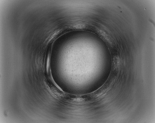 X0000098160212200804171607