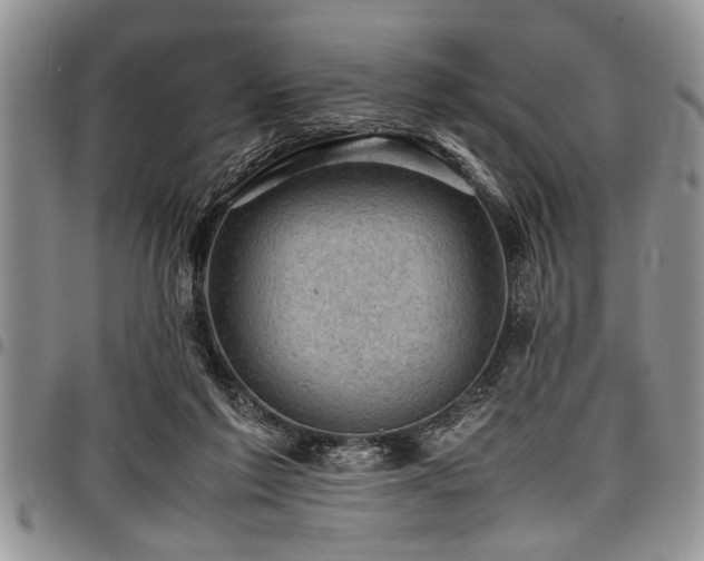 X0000098160213200804171607