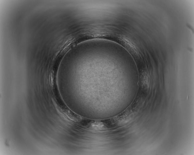 X0000098160214200804171607
