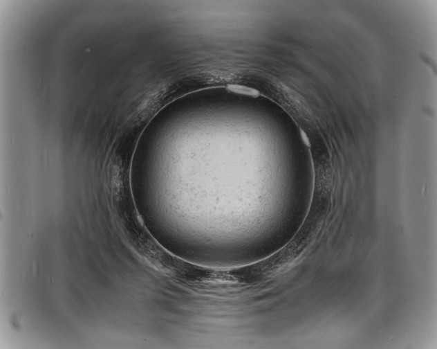 X0000098160215200804171607