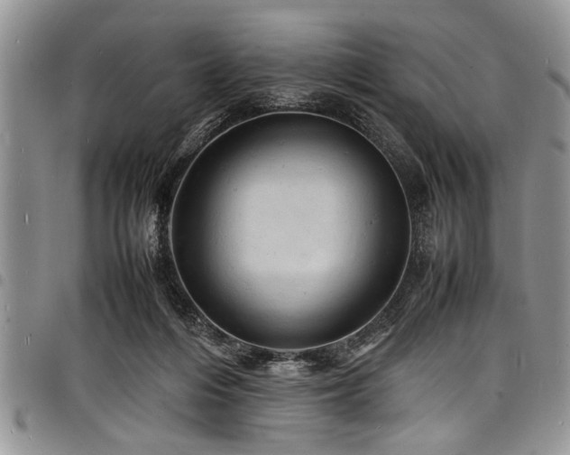 X0000098160216200804171607