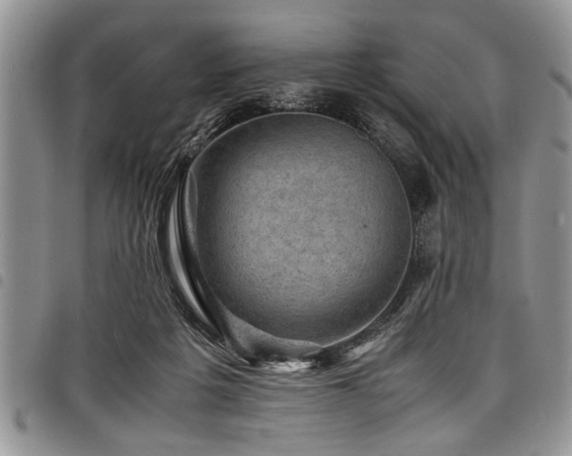 X0000098160217200804171607