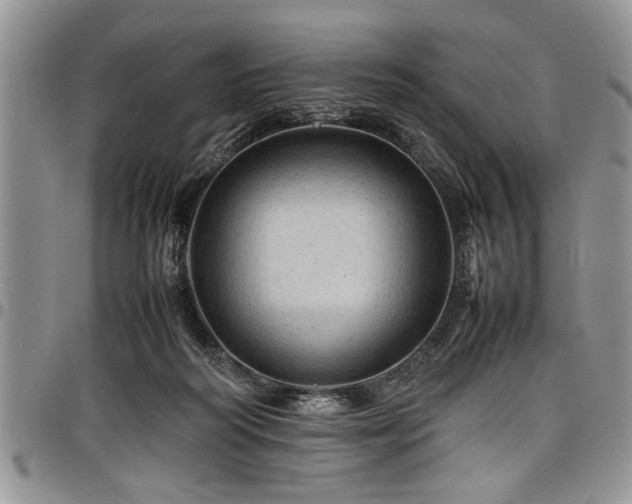 X0000098160218200804171607