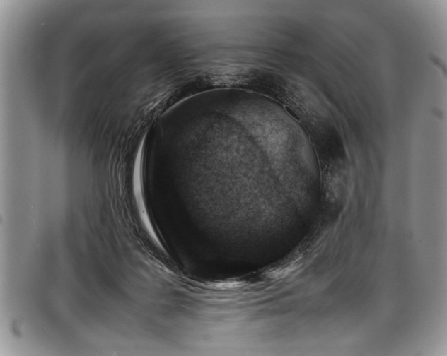 X0000098160219200804171607