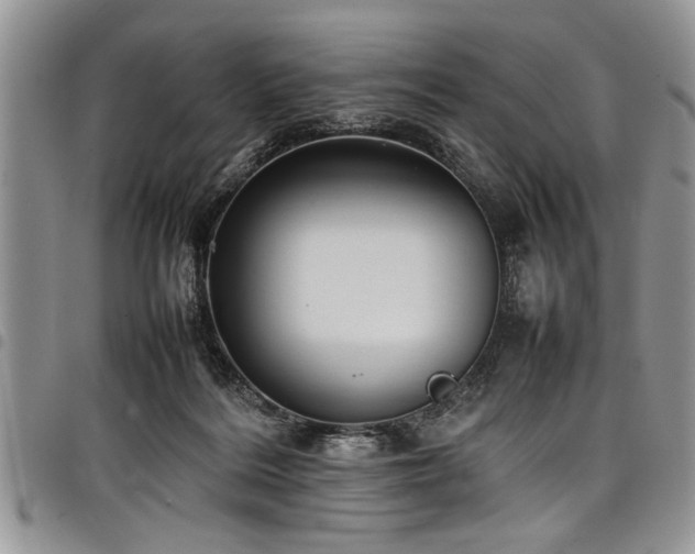 X0000098160220200804171607