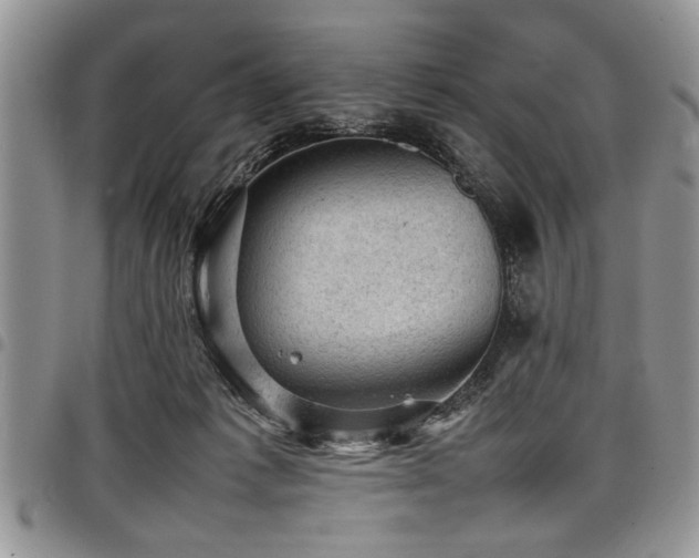 X0000098160221200804171607
