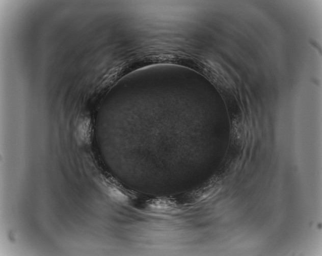 X0000098160223200804171607