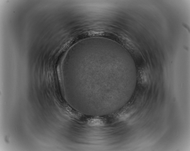 X0000098160224200804171607
