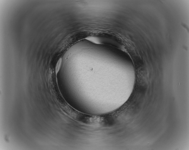 X0000098160225200804171607