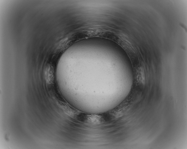 X0000098160226200804171607