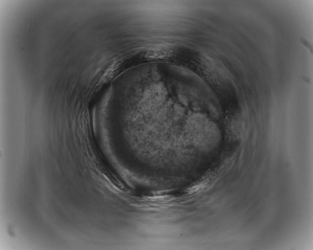 X0000098160227200804171607