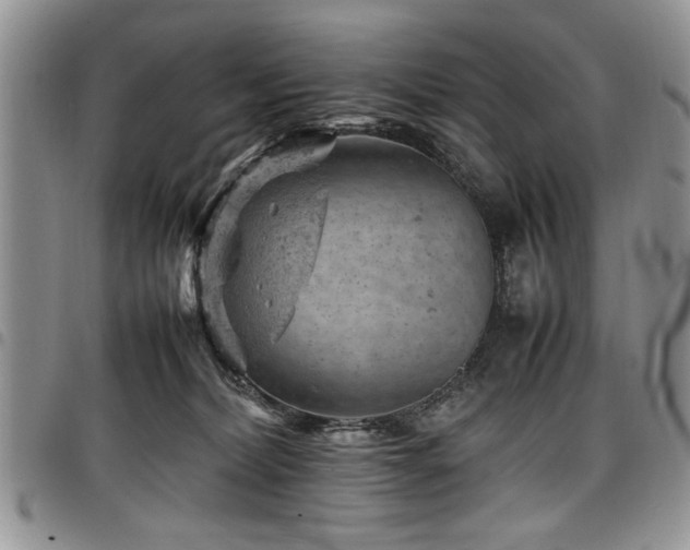 X0000098160228200804171607