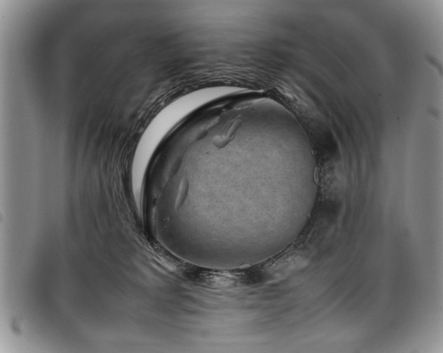 X0000098160229200804171607