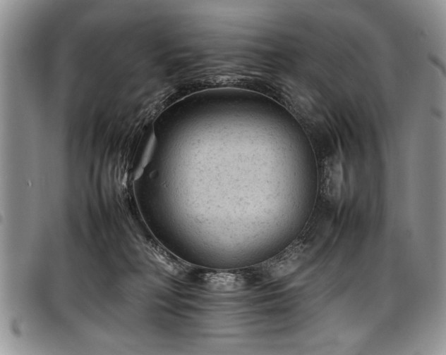 X0000098160230200804171607