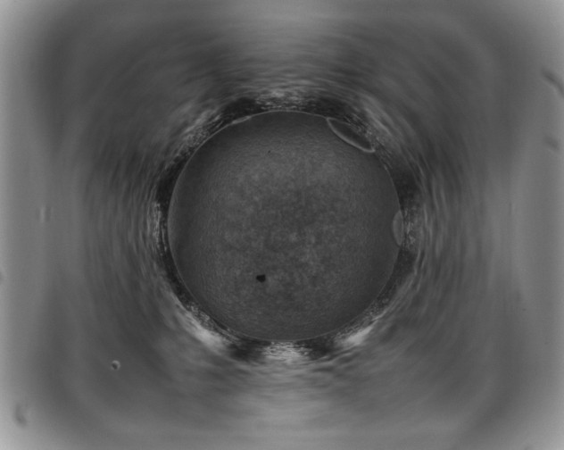 X0000098160231200804171607