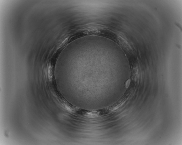 X0000098160232200804171607
