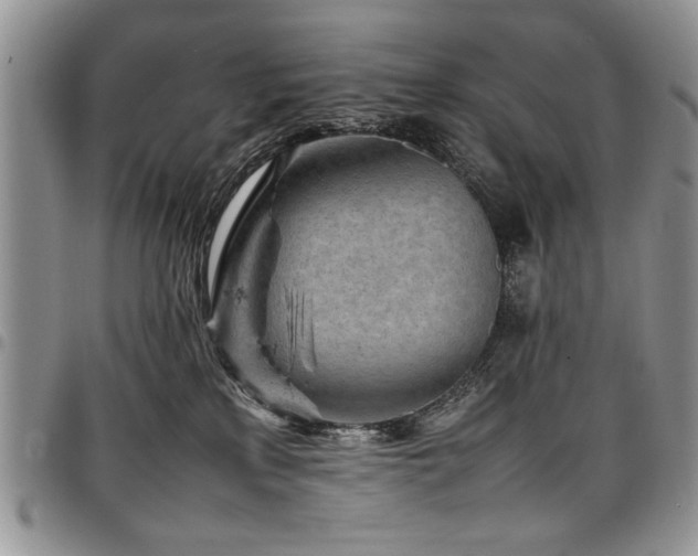 X0000098160233200804171607