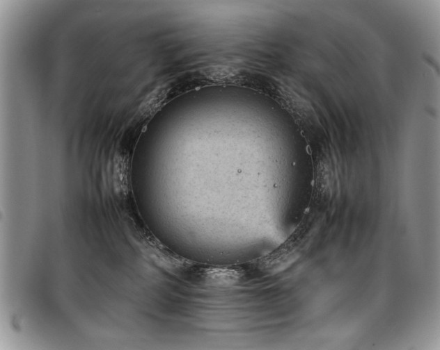 X0000098160234200804171607