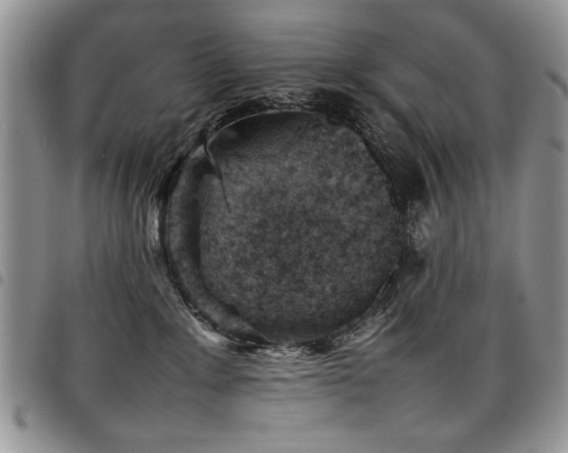 X0000098160235200804171607