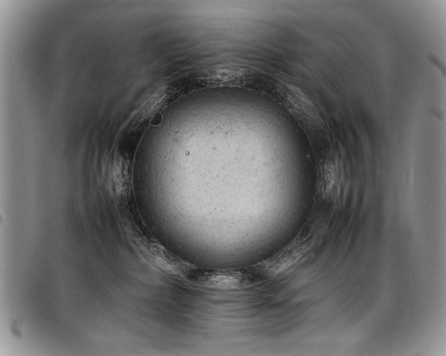X0000098160236200804171607
