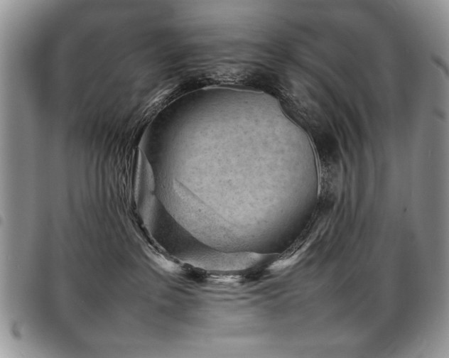X0000098160237200804171607