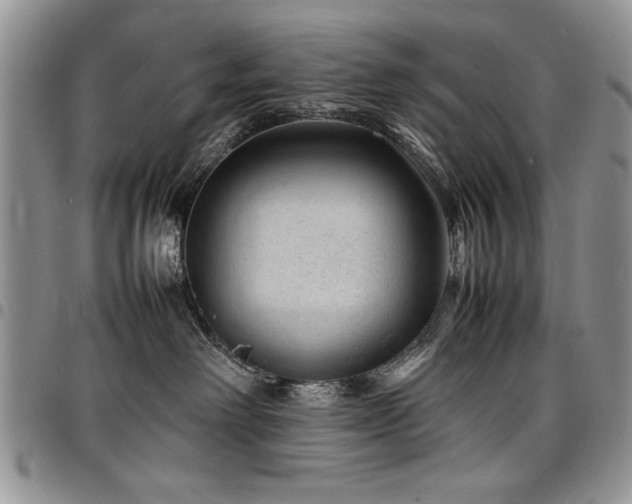 X0000098160238200804171607