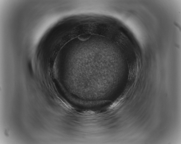X0000098160239200804171607