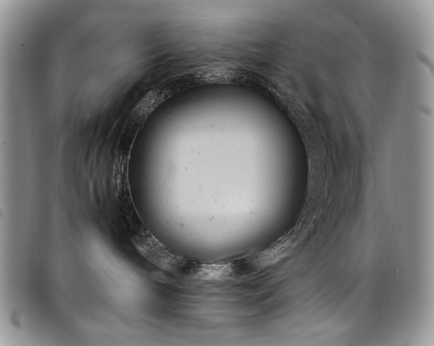X0000098160240200804171607