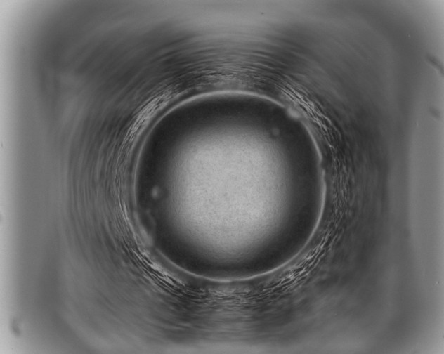 X0000098160241200804171606