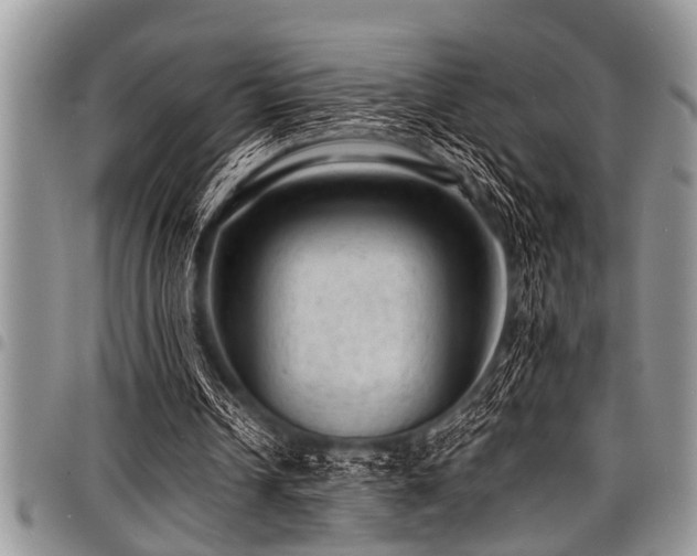 X0000098160242200804171606