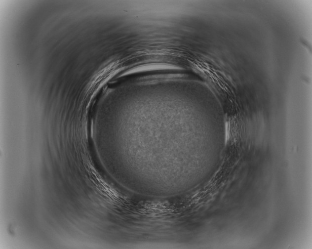 X0000098160243200804171606