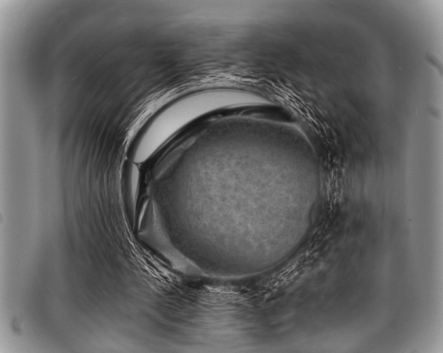 X0000098160244200804171606