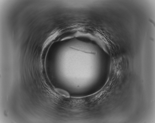 X0000098160245200804171606