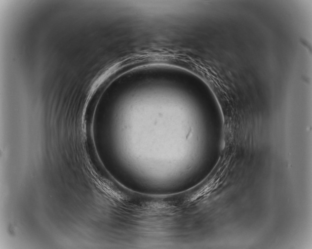 X0000098160246200804171606