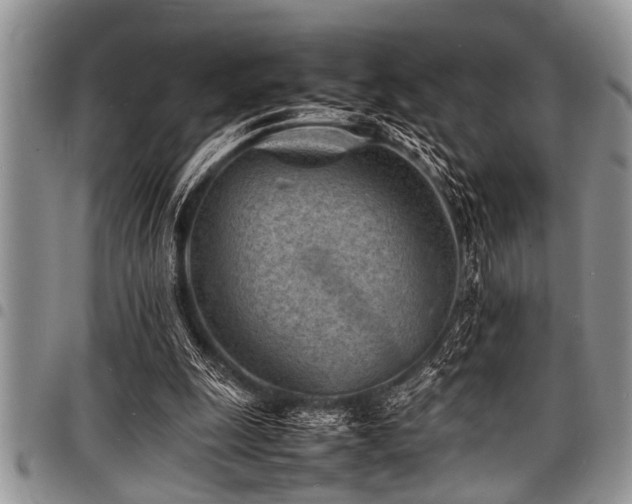 X0000098160247200804171606