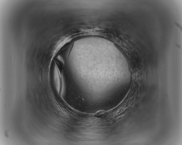 X0000098160248200804171606