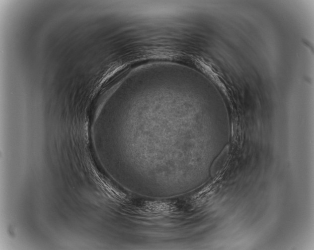 X0000098160249200804171606