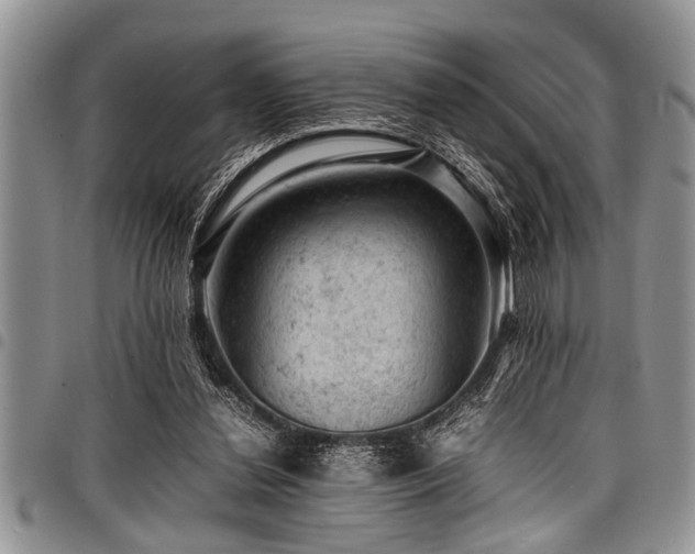 X0000098160252200804171606