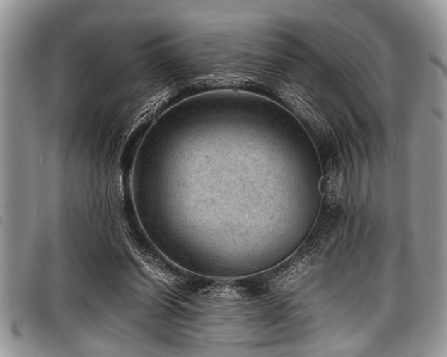X0000098160254200804171606
