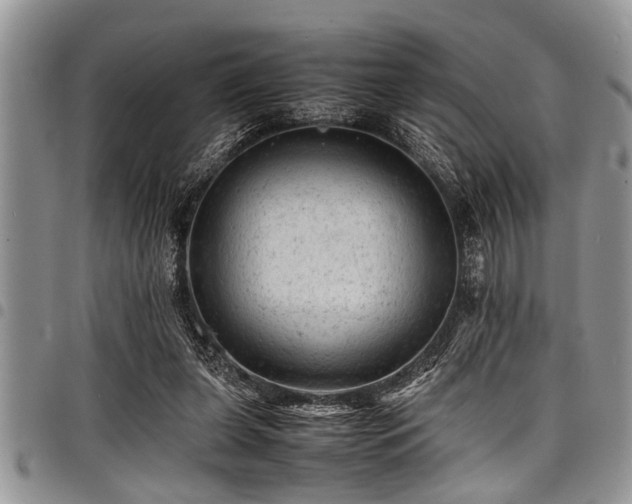 X0000098160255200804171606