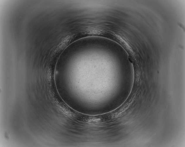 X0000098160257200804171606