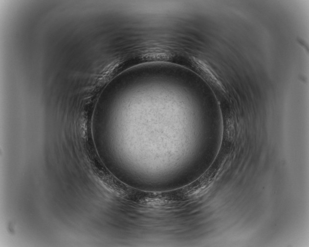 X0000098160259200804171606