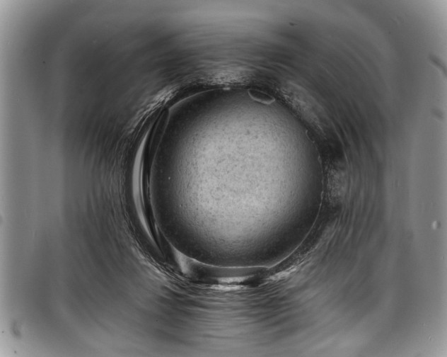 X0000098160260200804171606