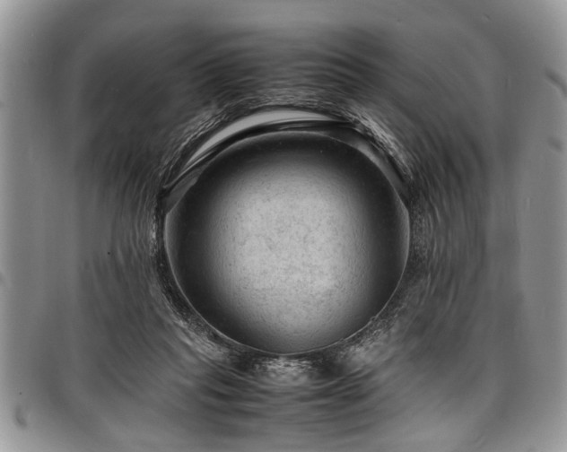 X0000098160261200804171606