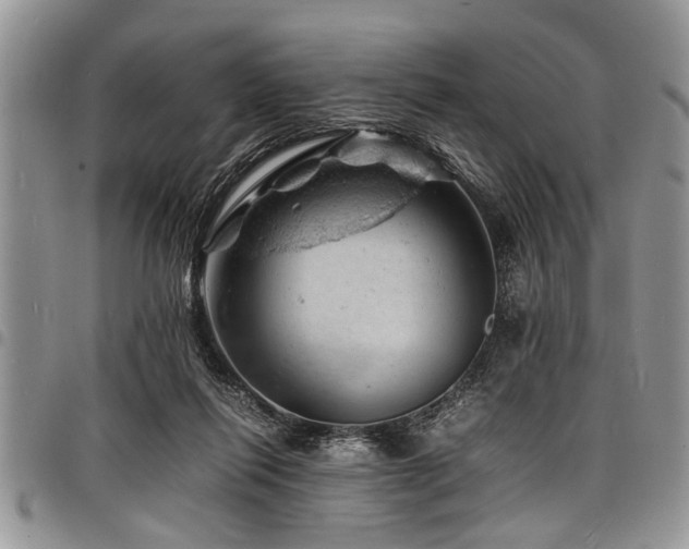 X0000098160262200804171606