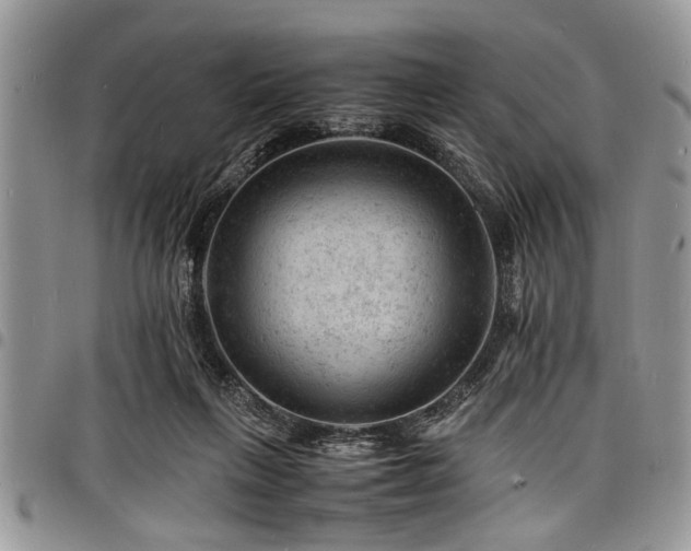 X0000098160263200804171606