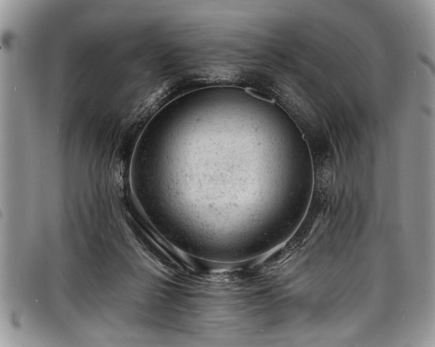 X0000098160264200804171606