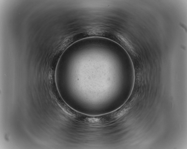 X0000098160265200804171606