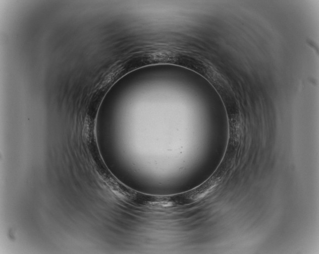 X0000098160266200804171606