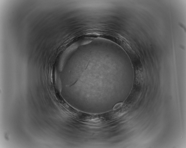 X0000098160267200804171606